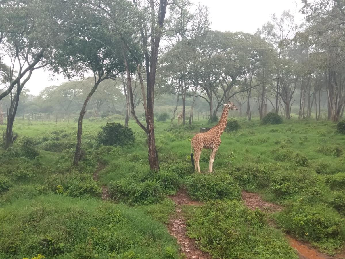 نيروبي Elimurk Bnb Near Jkia N Sgr المظهر الخارجي الصورة